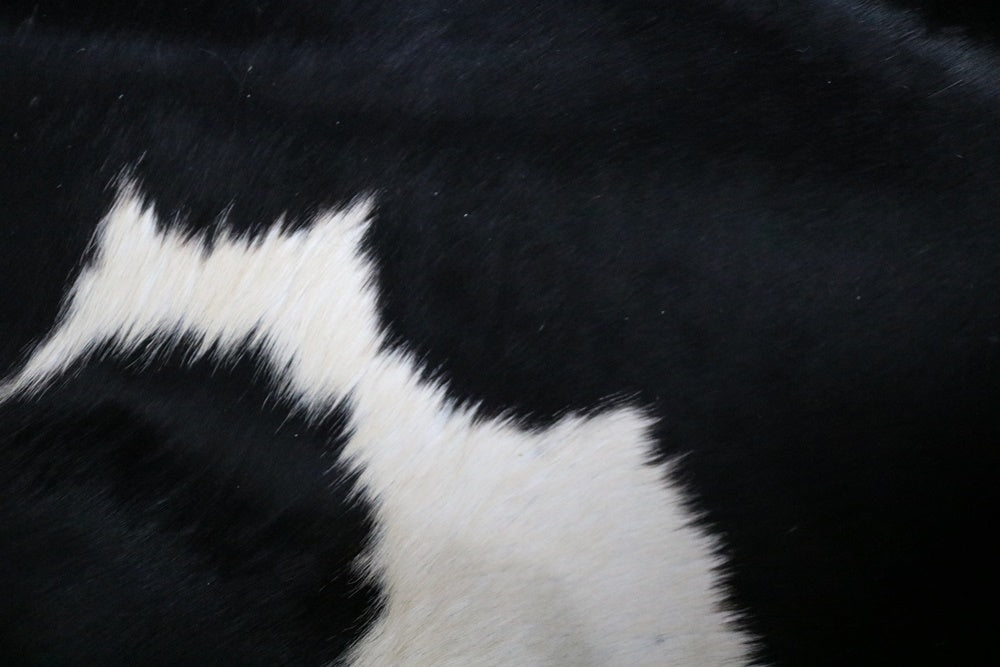 97045  Cowhide rug Collection Cowhides in Canada