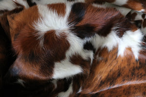 Real  Cowhide Rug Tricolor. Premium Collection. Code 98002