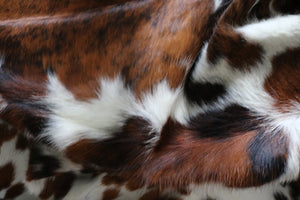 Real  Cowhide Rug Tricolor. Premium Collection. Code 98002