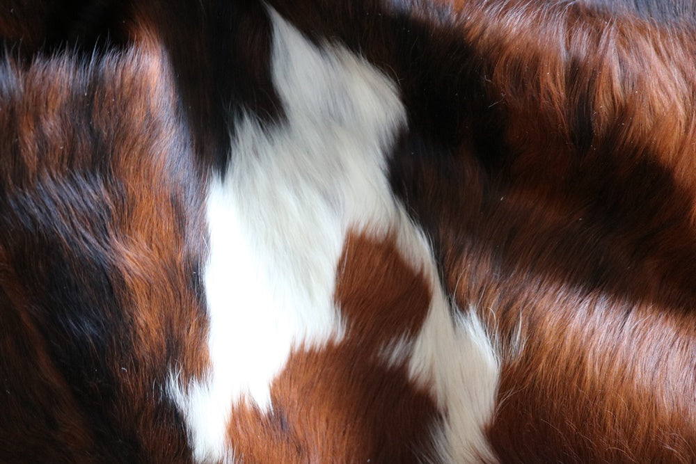 Real Cowhide Rug Tricolor. Premium Collection. Code 98040