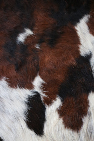 Real Cowhide Rug Tricolor. Premium Collection. Code 98040