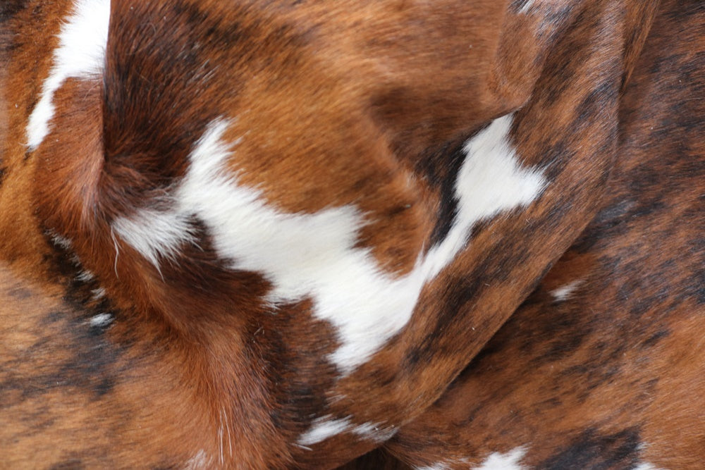 Real Cowhide Rug Tricolor. Premium Collection. Code 98041