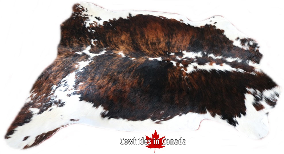 Real Cowhide Rug Tricolor. Premium Collection. Code 98047