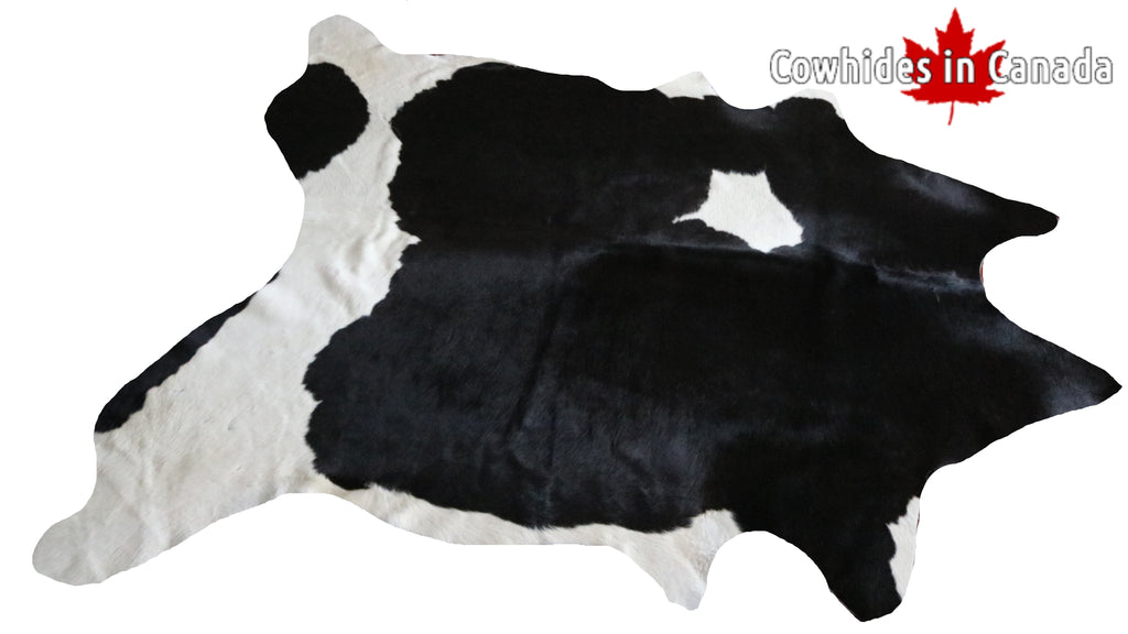 99588- Cowhide Rug -  Premium Collection