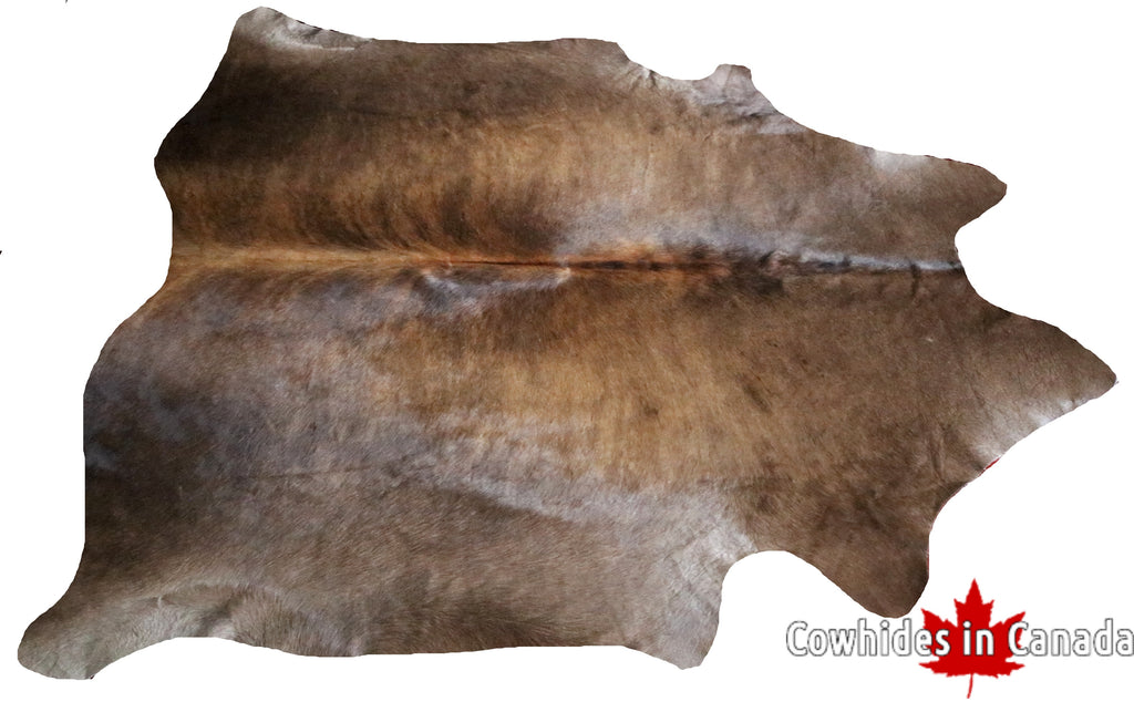 99589- Cowhide Rug -  Premium Collection