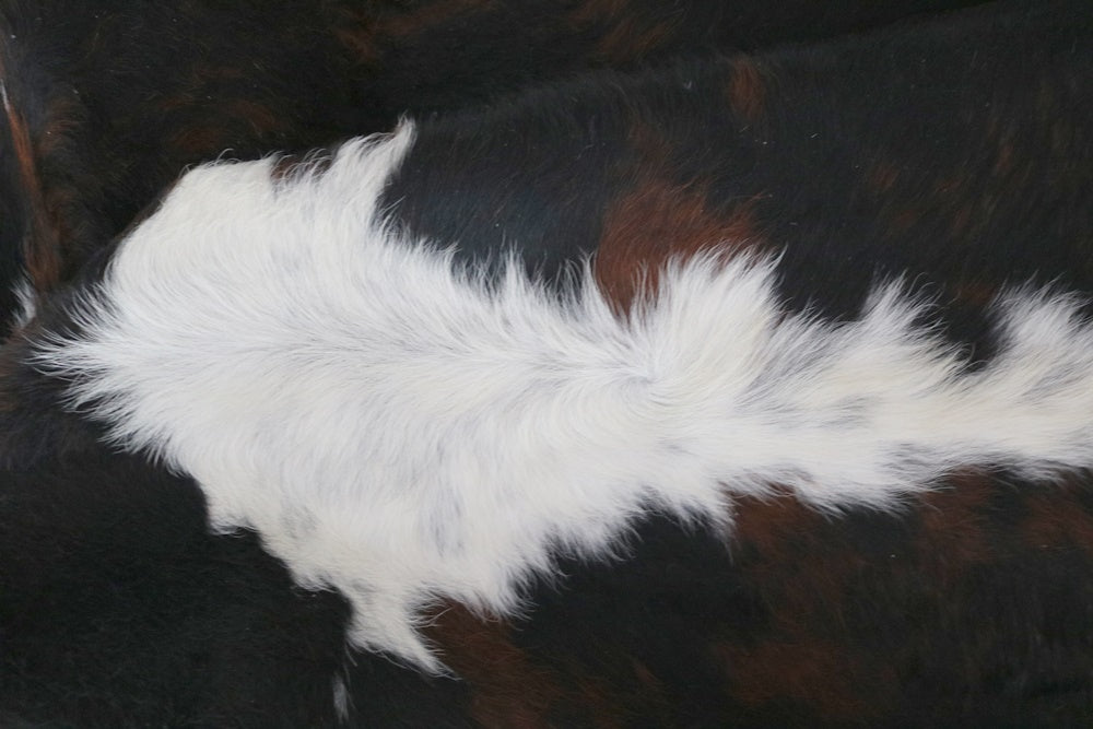 98096  Cowhide rug Collection Cowhides in Canada TRICOLOR