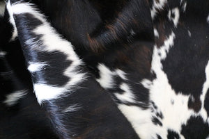 98098  Cowhide rug Collection Cowhides in Canada TRICOLOR