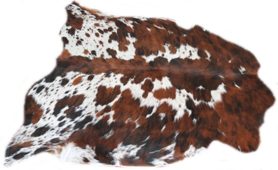 Big Real XXXL Cowhide Rug Tricolor. Premium Collection. Code 98099