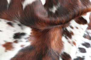 Big Real XXXL Cowhide Rug Tricolor. Premium Collection. Code 98099