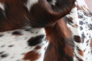 Big Real XXXL Cowhide Rug Tricolor. Premium Collection. Code 98099