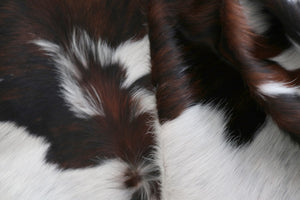 Big Real XXXL Cowhide Rug Tricolor. Premium Collection. Code 98102