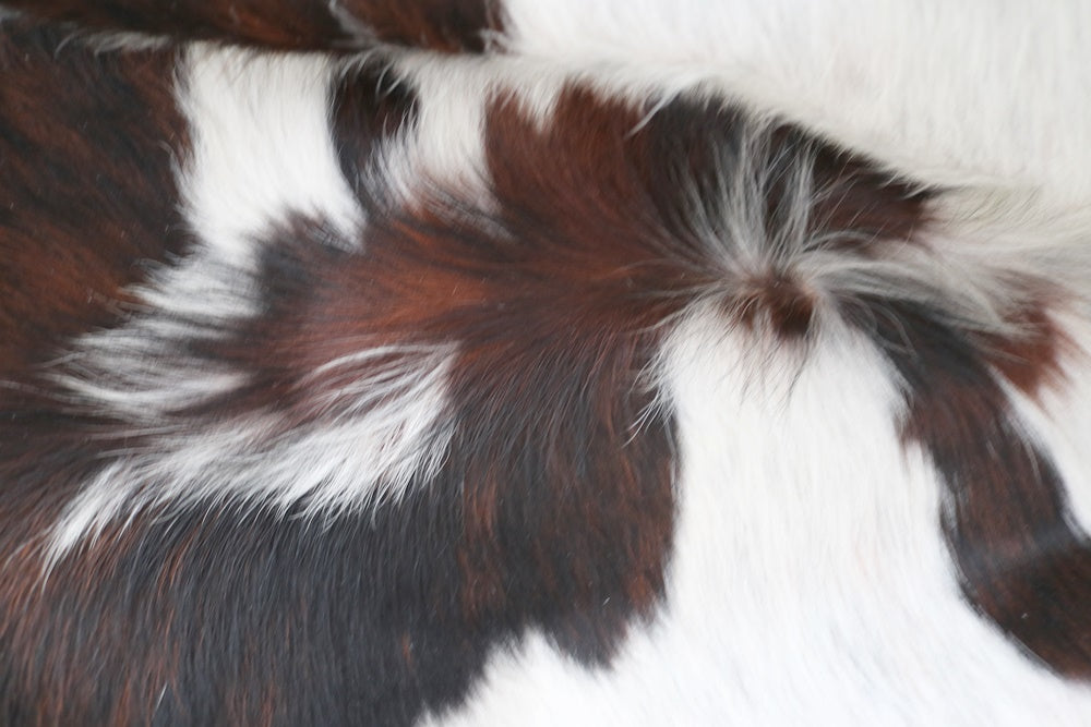 Big Real XXXL Cowhide Rug Tricolor. Premium Collection. Code 98102