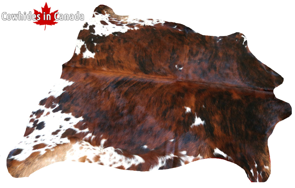 99683- Cowhide Rug -  TRICOLOR Premium Collection