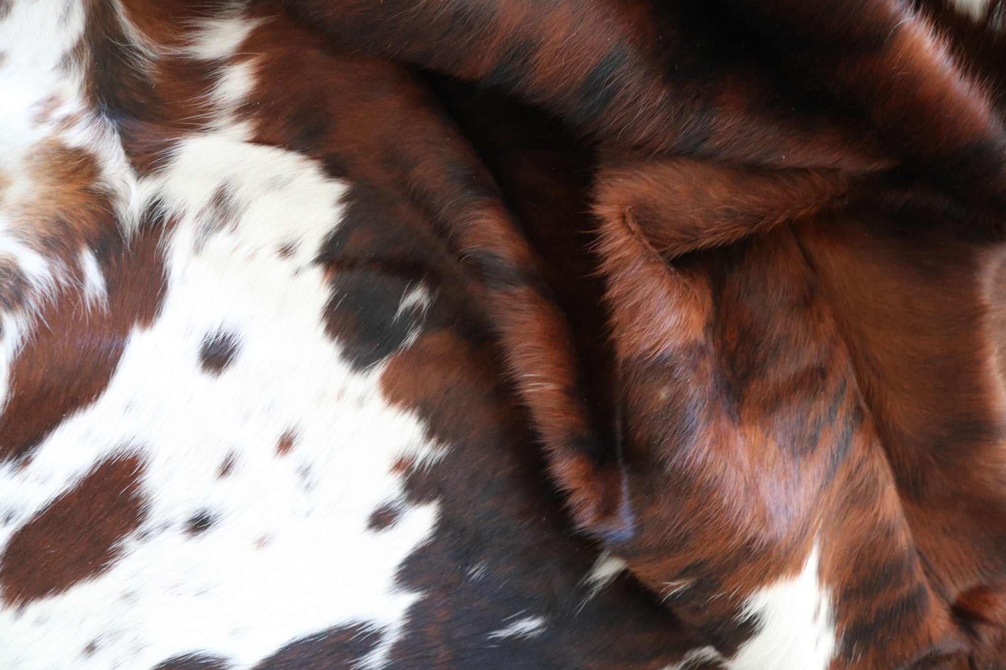 99683- Cowhide Rug -  TRICOLOR Premium Collection