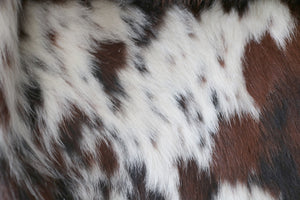 98105  Cowhide rug Collection Cowhides in Canada TRICOLOR