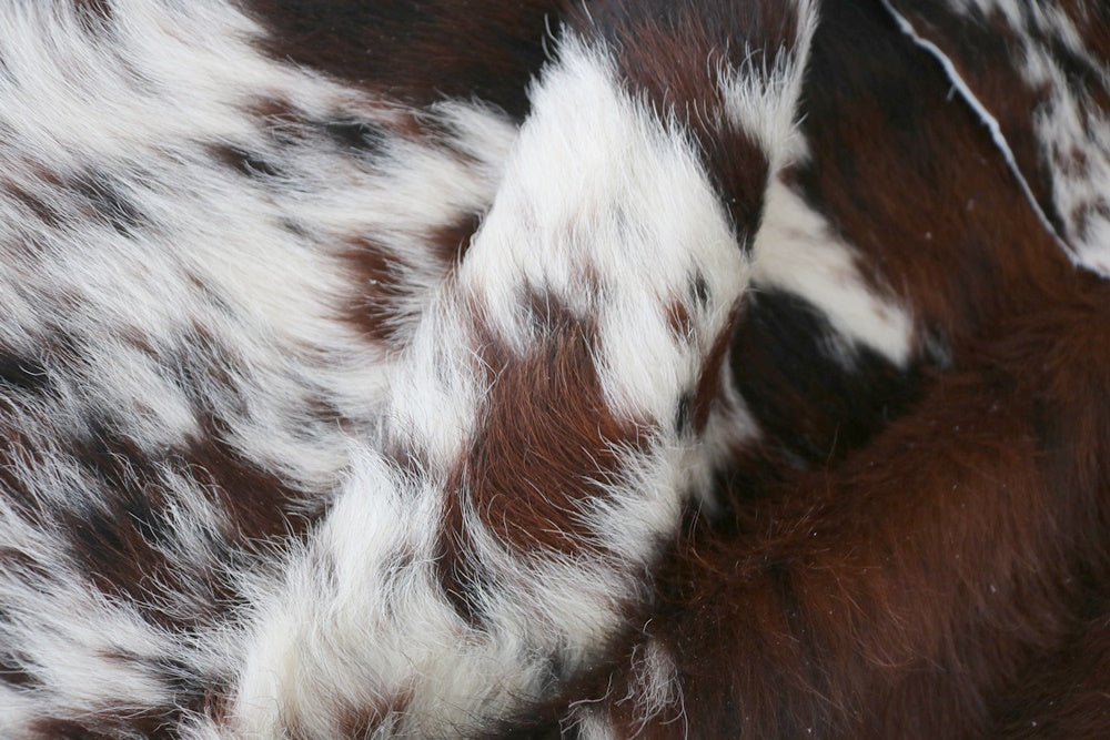 98105  Cowhide rug Collection Cowhides in Canada TRICOLOR