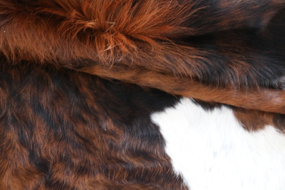 98111 Cowhide rug Collection Cowhides in Canada TRICOLOR