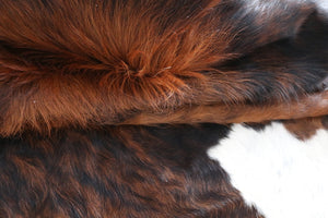 98111 Cowhide rug Collection Cowhides in Canada TRICOLOR