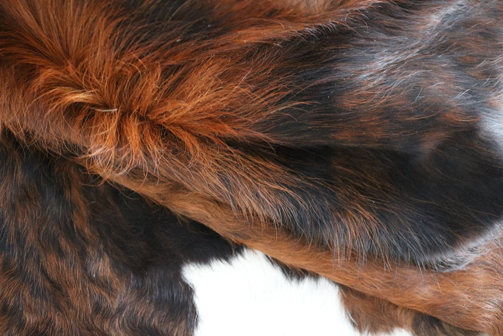 98111 Cowhide rug Collection Cowhides in Canada TRICOLOR