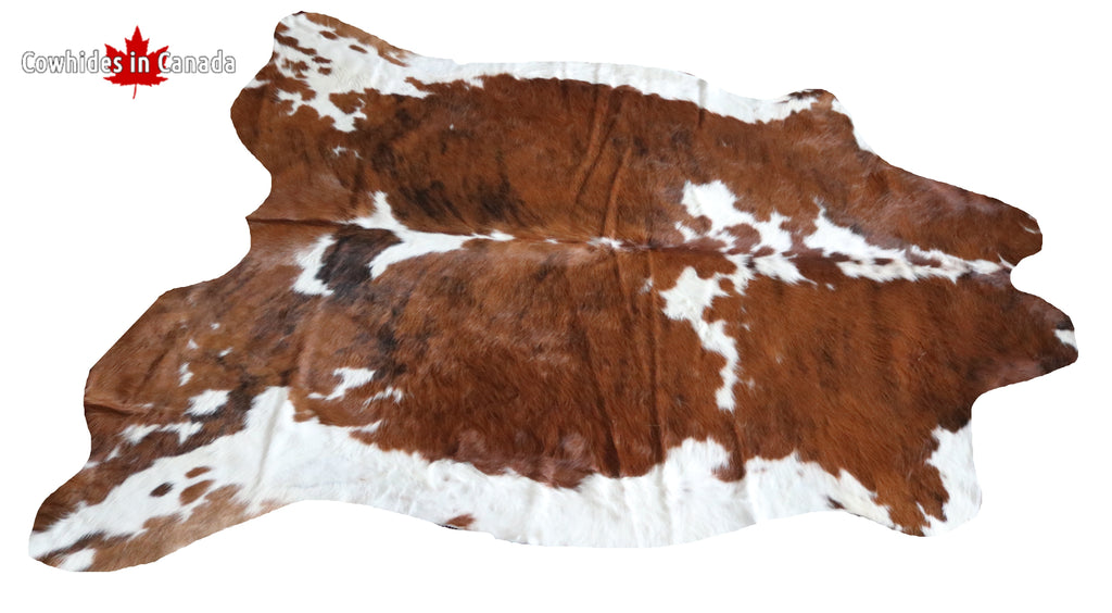 99698- Cowhide Rug -  TRICOLOR Premium Collection
