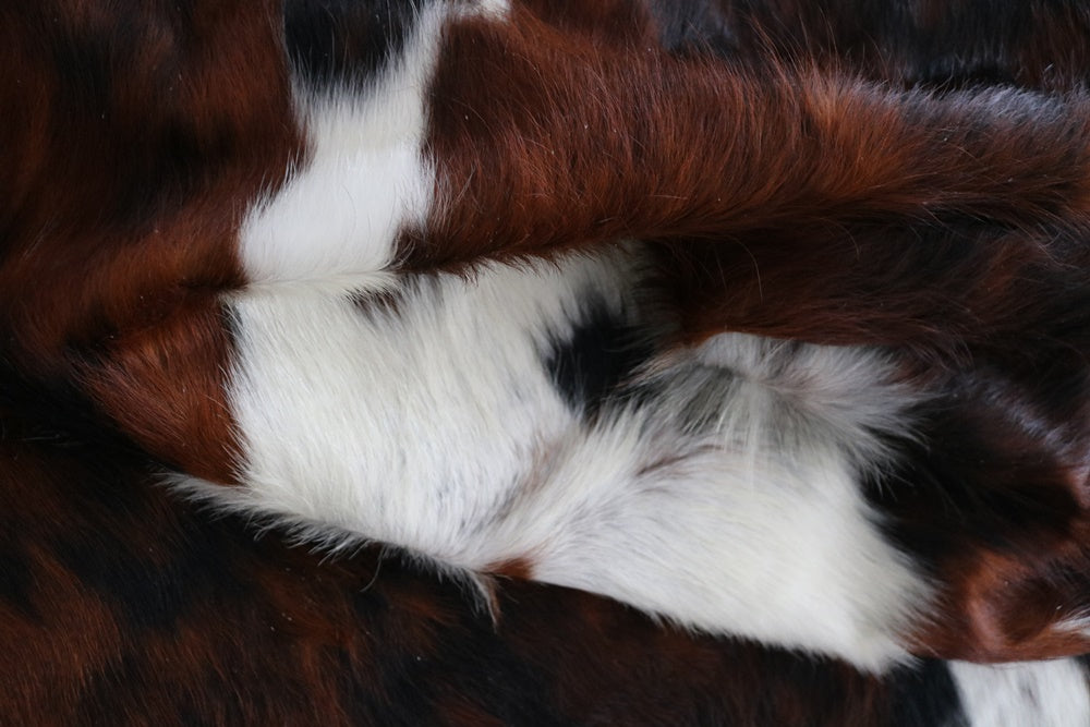 98114 Cowhide rug Collection Cowhides in Canada TRICOLOR