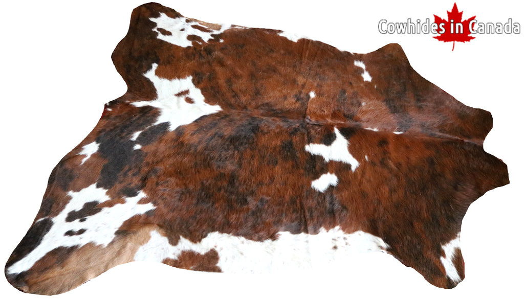 99699- Cowhide Rug -  TRICOLOR Premium Collection