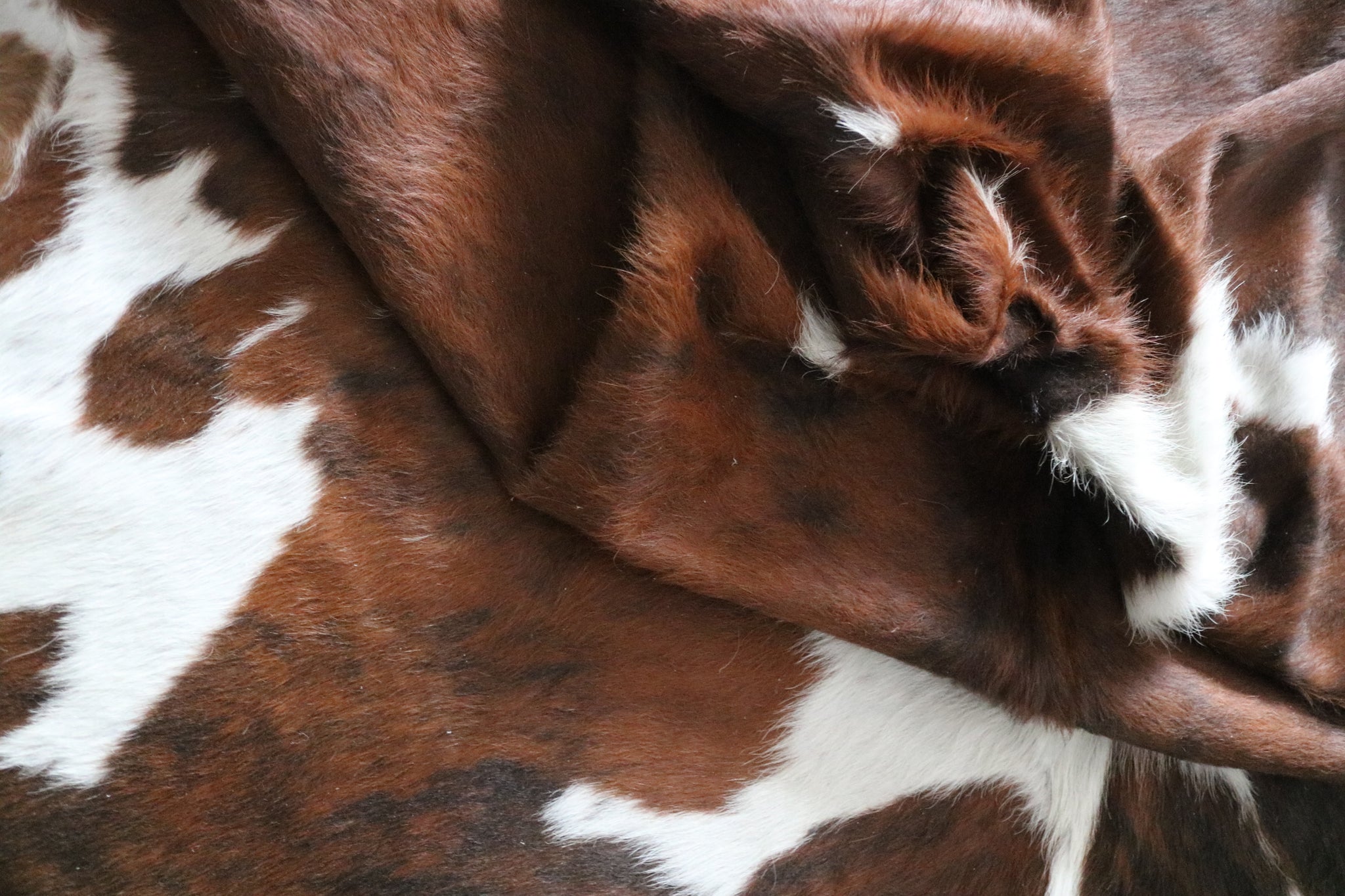 99699- Cowhide Rug -  TRICOLOR Premium Collection