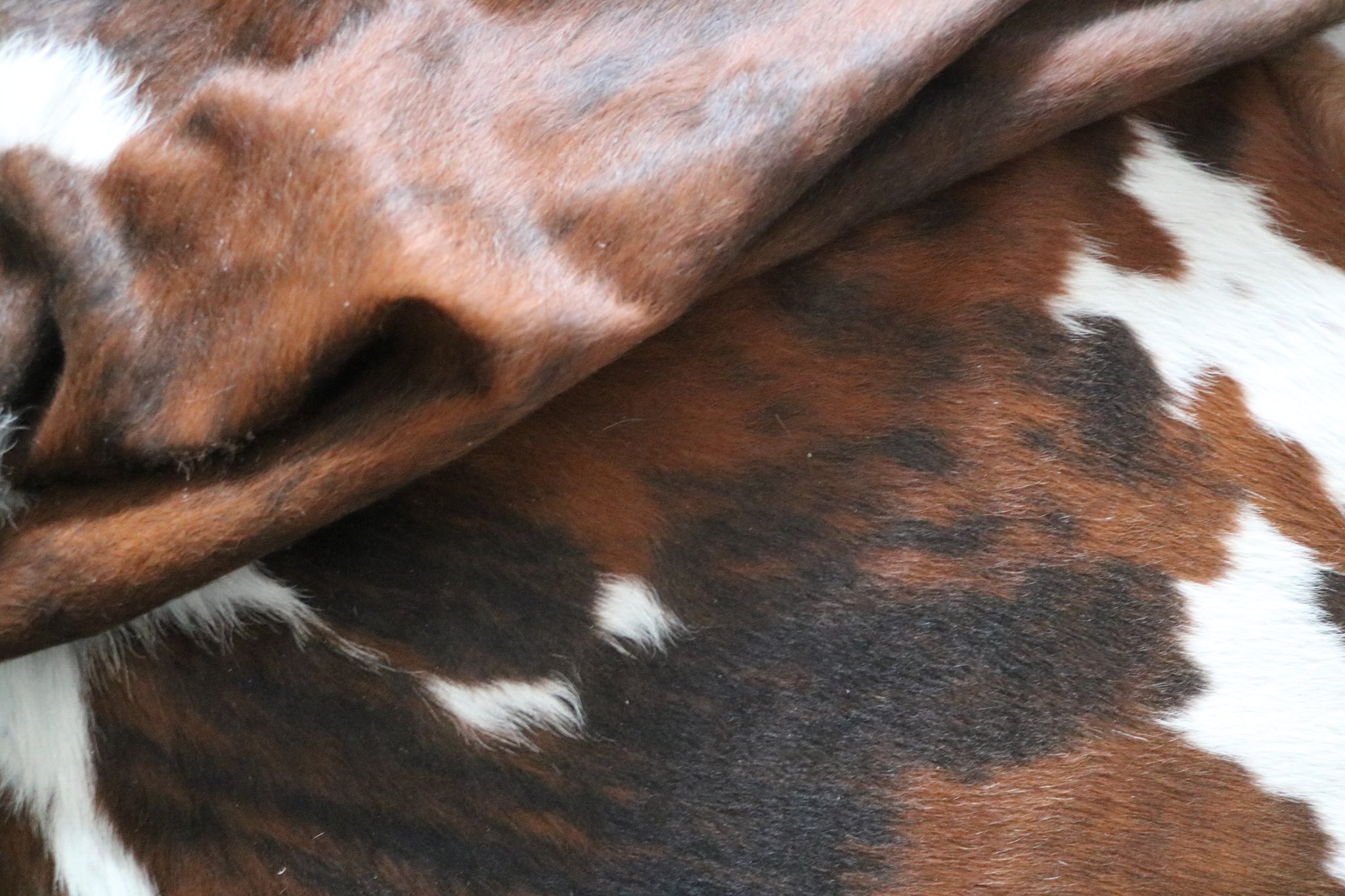 99699- Cowhide Rug -  TRICOLOR Premium Collection