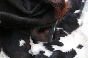 Big Real XXXL Cowhide Rug Tricolor. Premium Collection. Code 98117