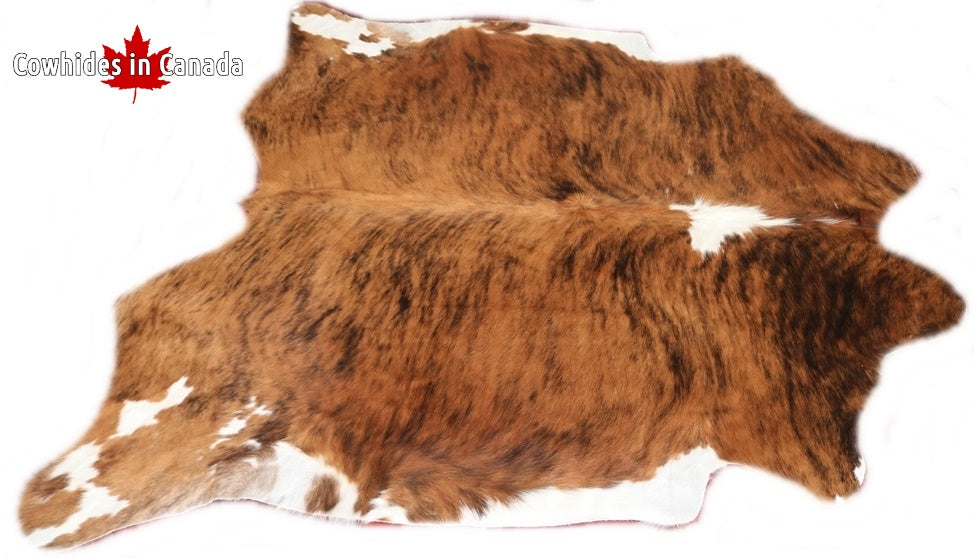 98120 Cowhide rug Collection Cowhides in Canada TRICOLOR