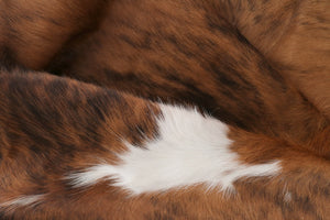 98120 Cowhide rug Collection Cowhides in Canada TRICOLOR