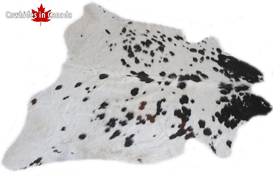 98122 Cowhide rug Collection Cowhides in Canada TRICOLOR