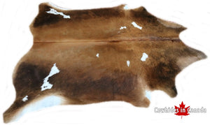 A 95005 Cowhide rug Collection Cowhides in Canada