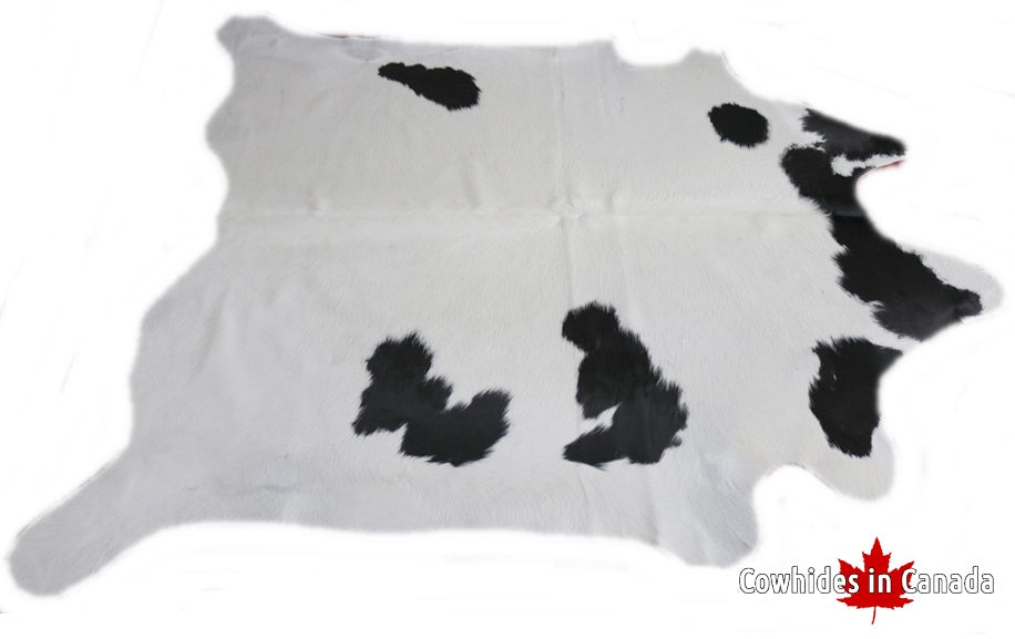 A 95006 Cowhide rug Collection Cowhides in Canada