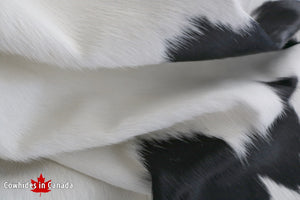 A 95006 Cowhide rug Collection Cowhides in Canada