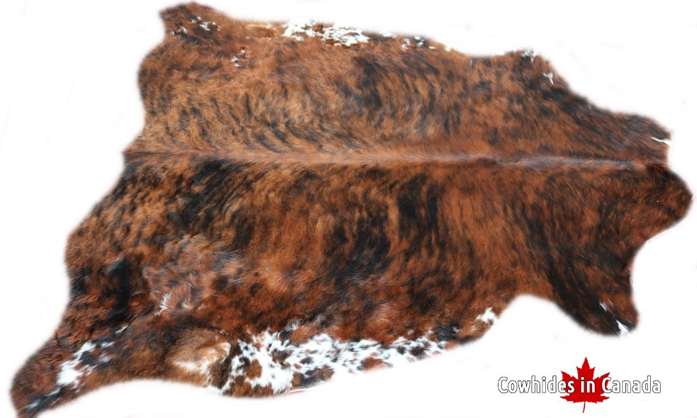 98130 Cowhide rug Collection Cowhides in Canada TRICOLOR