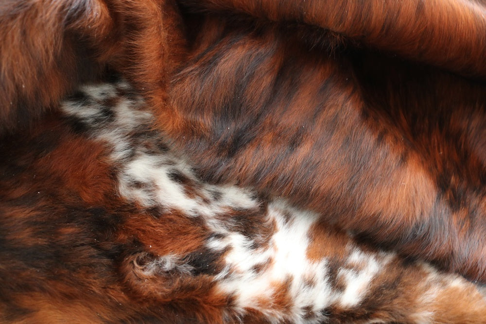 98130 Cowhide rug Collection Cowhides in Canada TRICOLOR