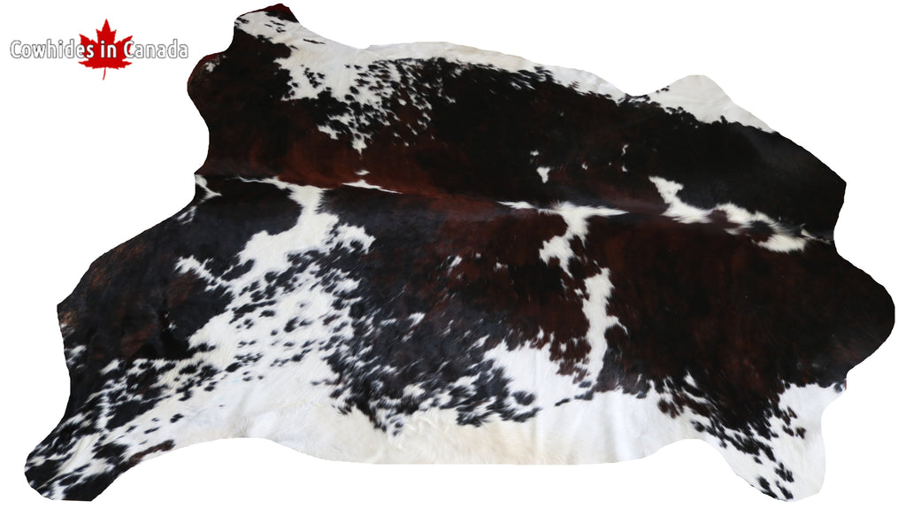 99718 Cowhide  rug TRICOLOR  - Premium  Collection  SUPER BIG SIZE XXXL
