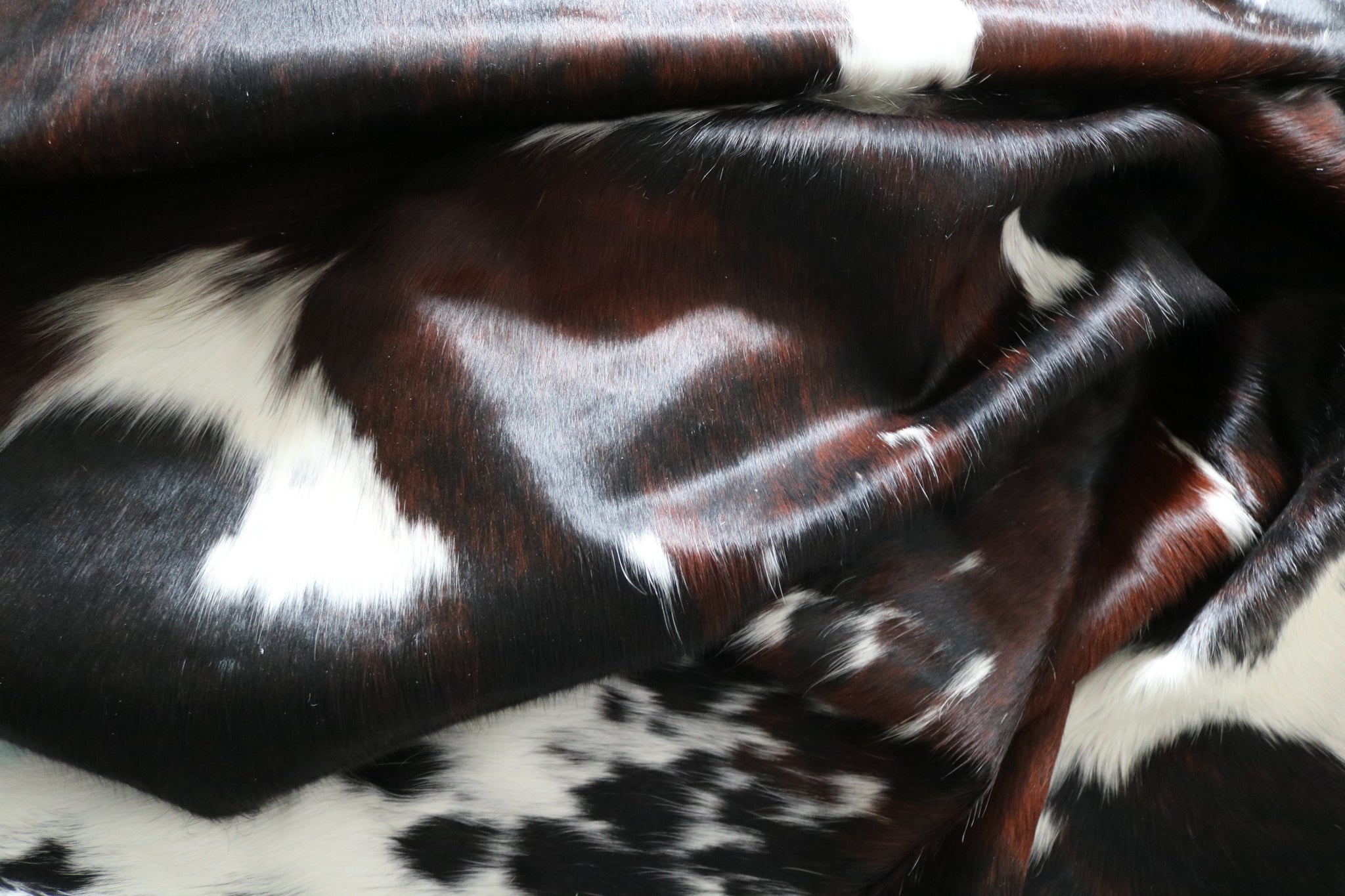 99718 Cowhide  rug TRICOLOR  - Premium  Collection  SUPER BIG SIZE XXXL