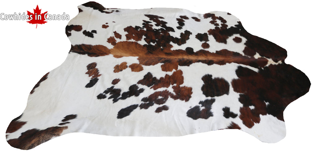99719 Cowhide  rug TRICOLOR  - Premium  Collection  SUPER BIG SIZE XXXL