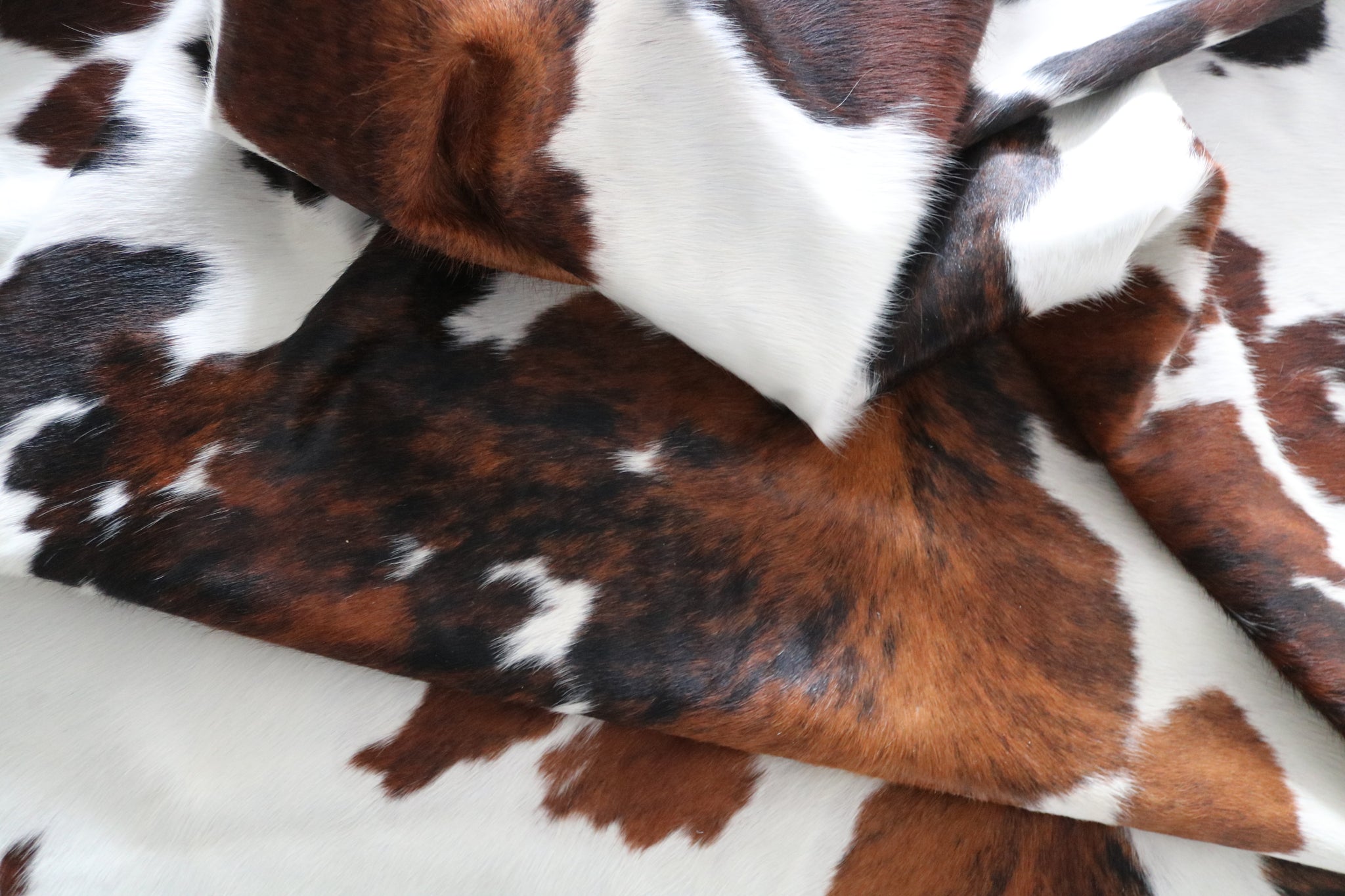 99719 Cowhide  rug TRICOLOR  - Premium  Collection  SUPER BIG SIZE XXXL