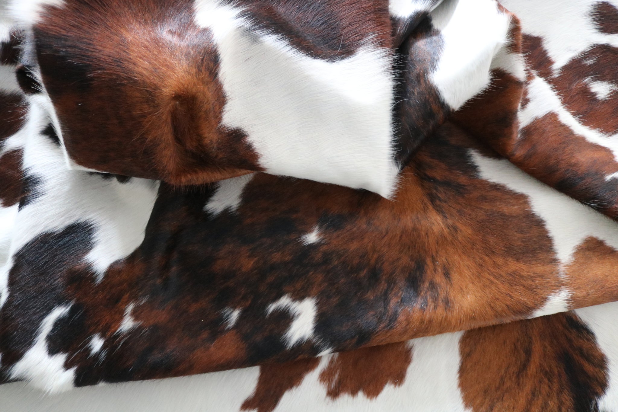 99719 Cowhide  rug TRICOLOR  - Premium  Collection  SUPER BIG SIZE XXXL