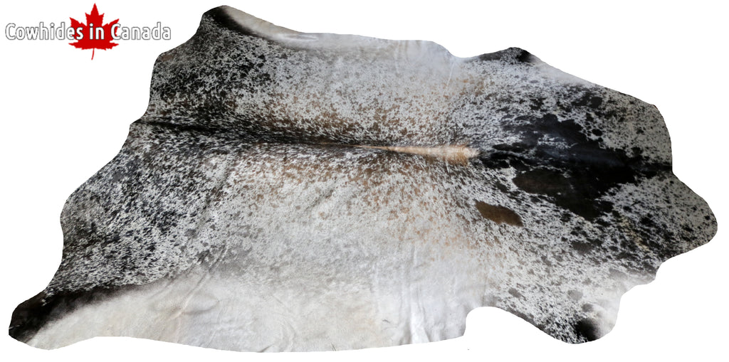99721 Cowhide  rug TRICOLOR  - Premium  Collection  SUPER BIG SIZE XXXL