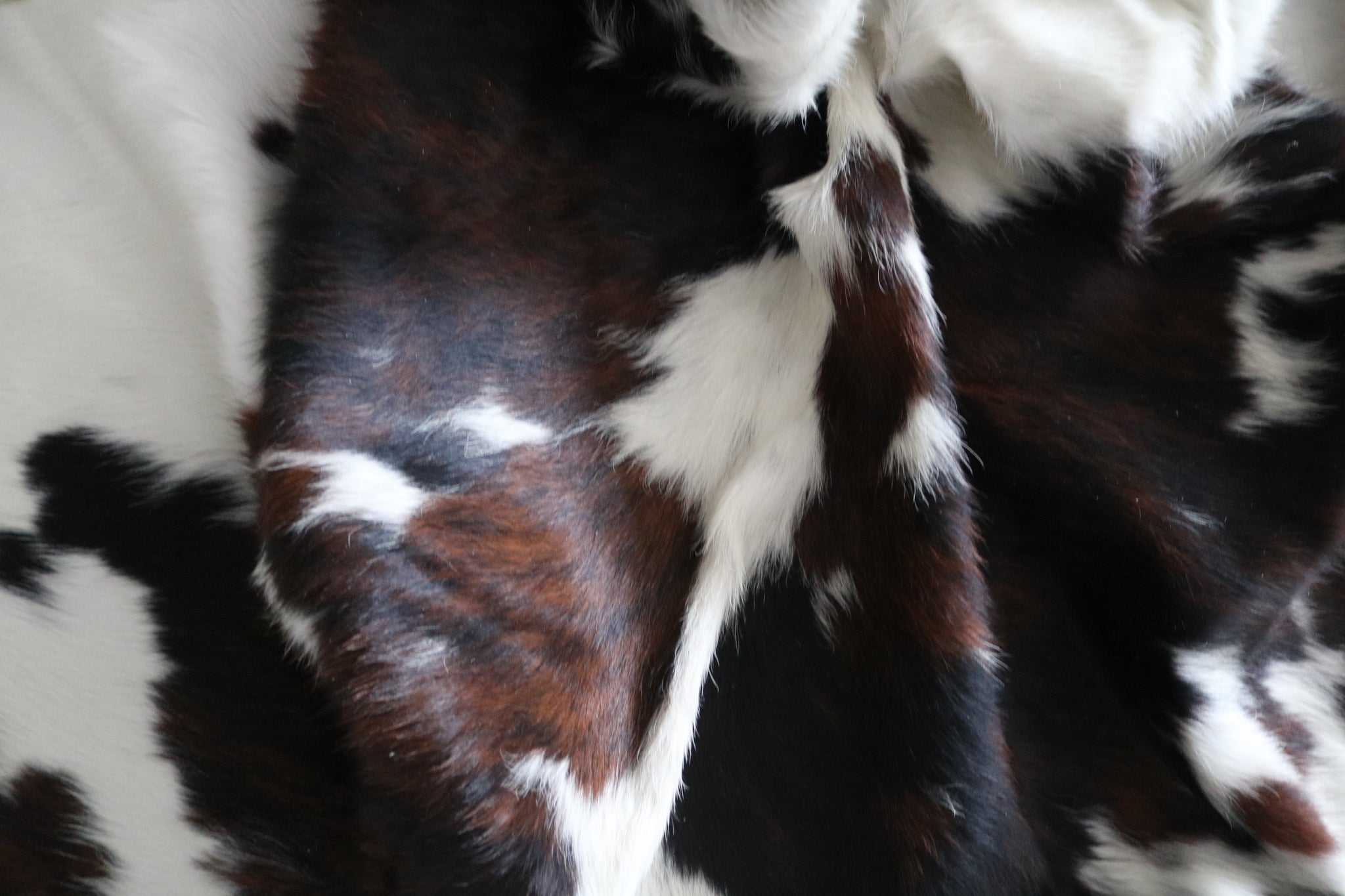 99723- Cowhide Rug -  TRICOLOR  Premium Collection