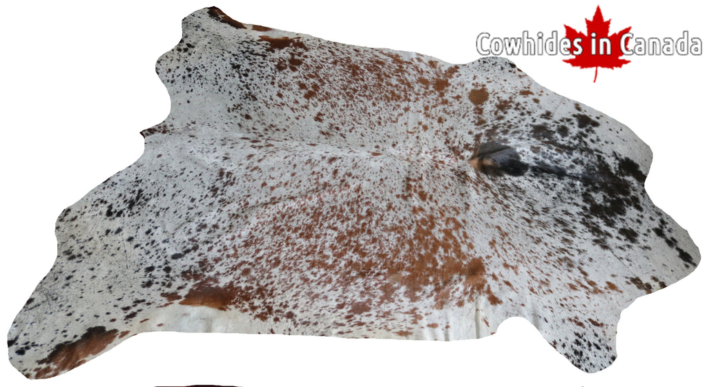 99724 Cowhide  rug TRICOLOR  - Premium  Collection  SUPER BIG SIZE XXXL