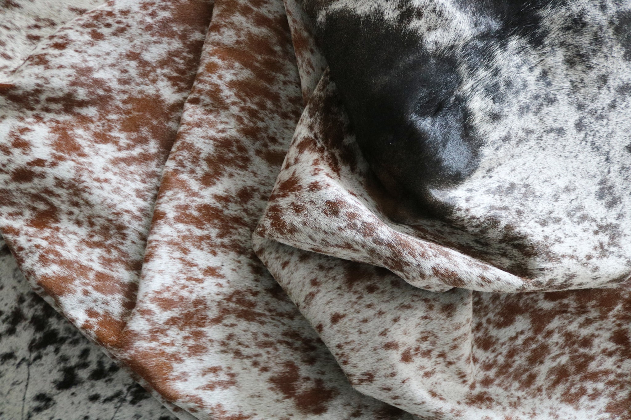 99724 Cowhide  rug TRICOLOR  - Premium  Collection  SUPER BIG SIZE XXXL