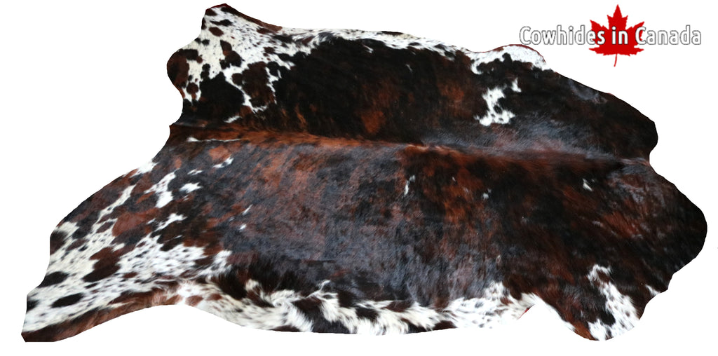 99725 Cowhide  rug TRICOLOR  - Premium  Collection  SUPER BIG SIZE XXXL