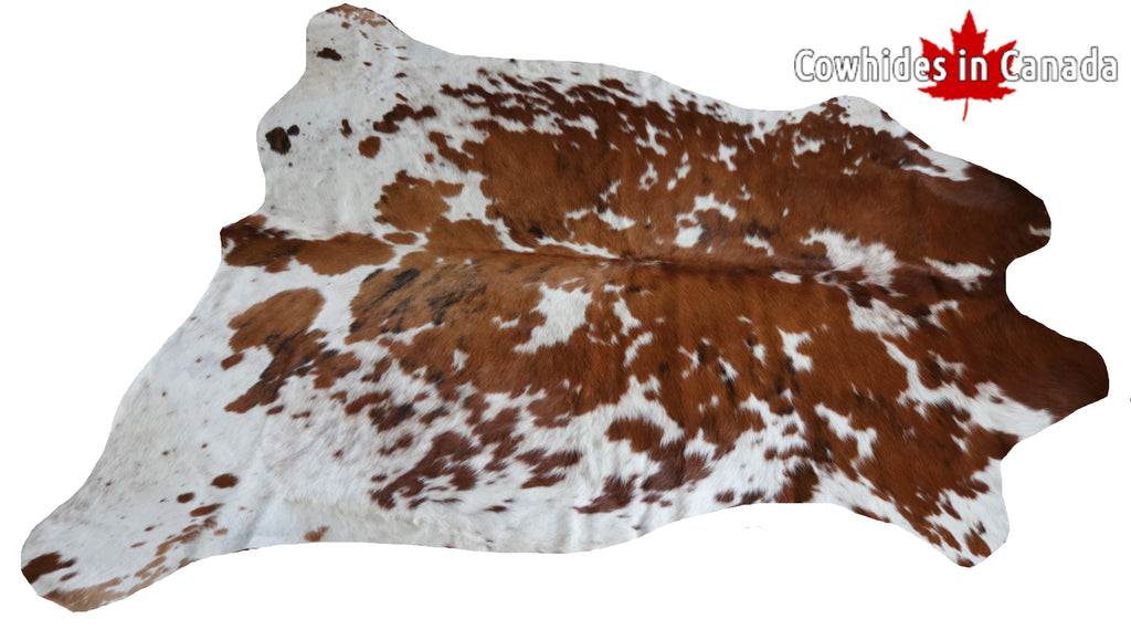 99726- Cowhide Rug -  TRICOLOR  Premium Collection