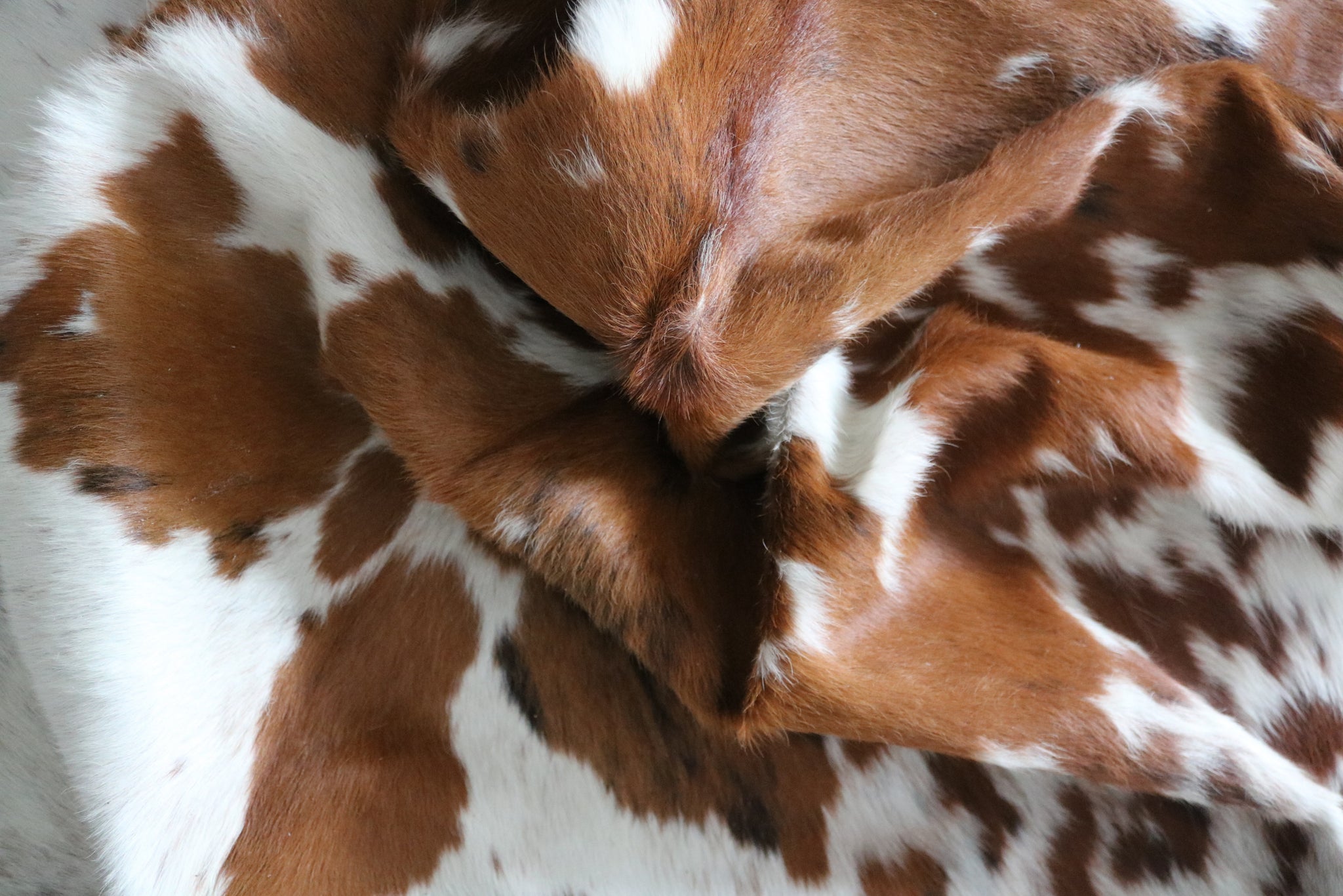 99726- Cowhide Rug -  TRICOLOR  Premium Collection