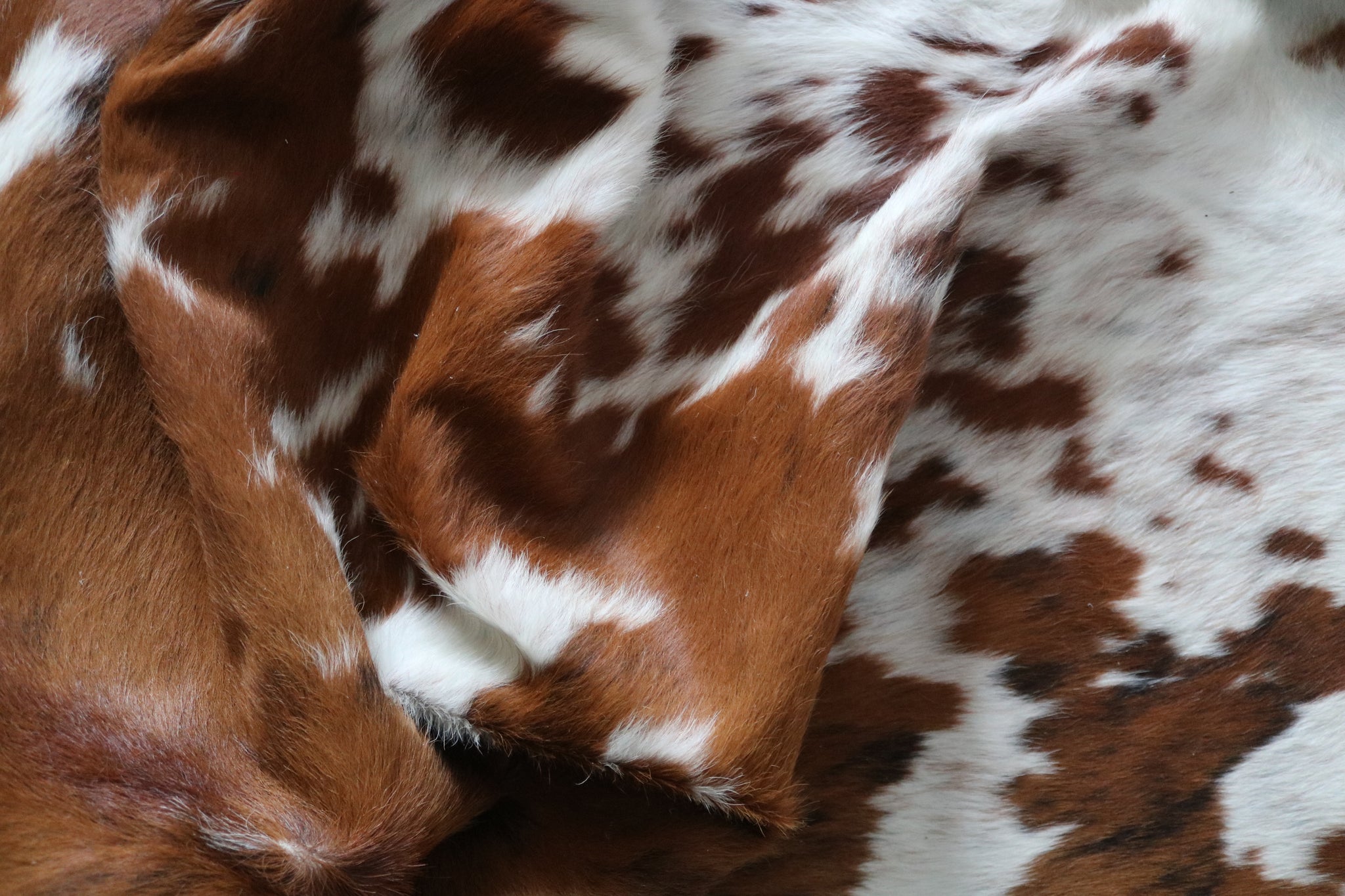 99726- Cowhide Rug -  TRICOLOR  Premium Collection